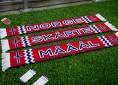 Sommeren da topplistene ble helnorske