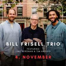 Bill Frisell Trio