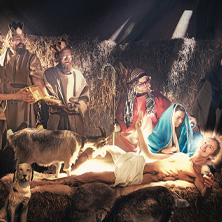 Den Store Juletrefesten