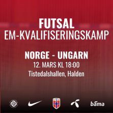 Norge &ndash; Ungarn i Tistedalshallen