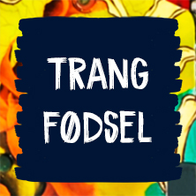 Trang F&oslash;dsel