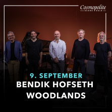 Bendik Hofseth Woodlands