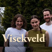 Visekveld