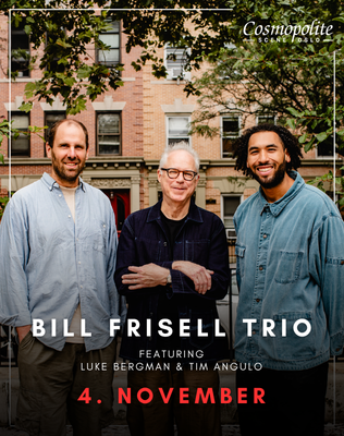 Bill Frisell Trio